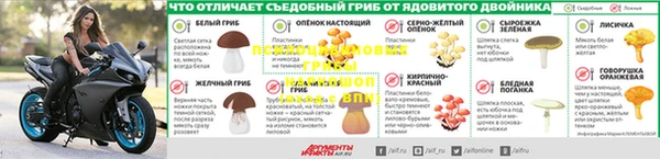 a pvp Верея