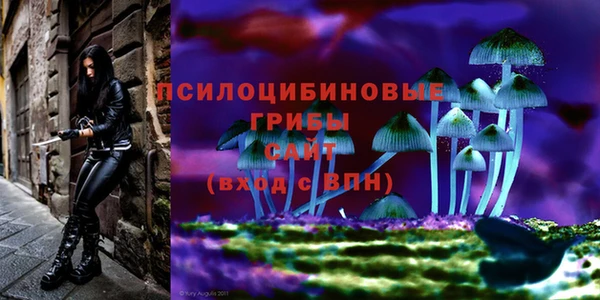 марки nbome Верхний Тагил