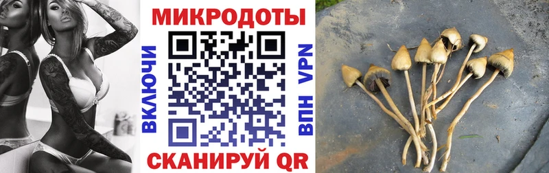 Псилоцибиновые грибы Magic Shrooms  Ивангород 